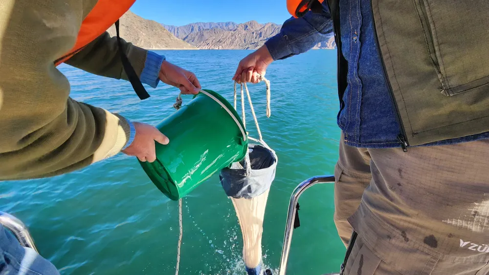 WhatsApp Image 2024-04-17 at 11.41.09