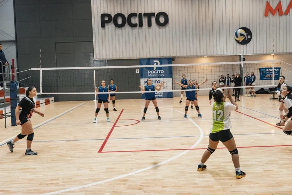 WhatsApp Image 2024-08-16 at 12.08.59