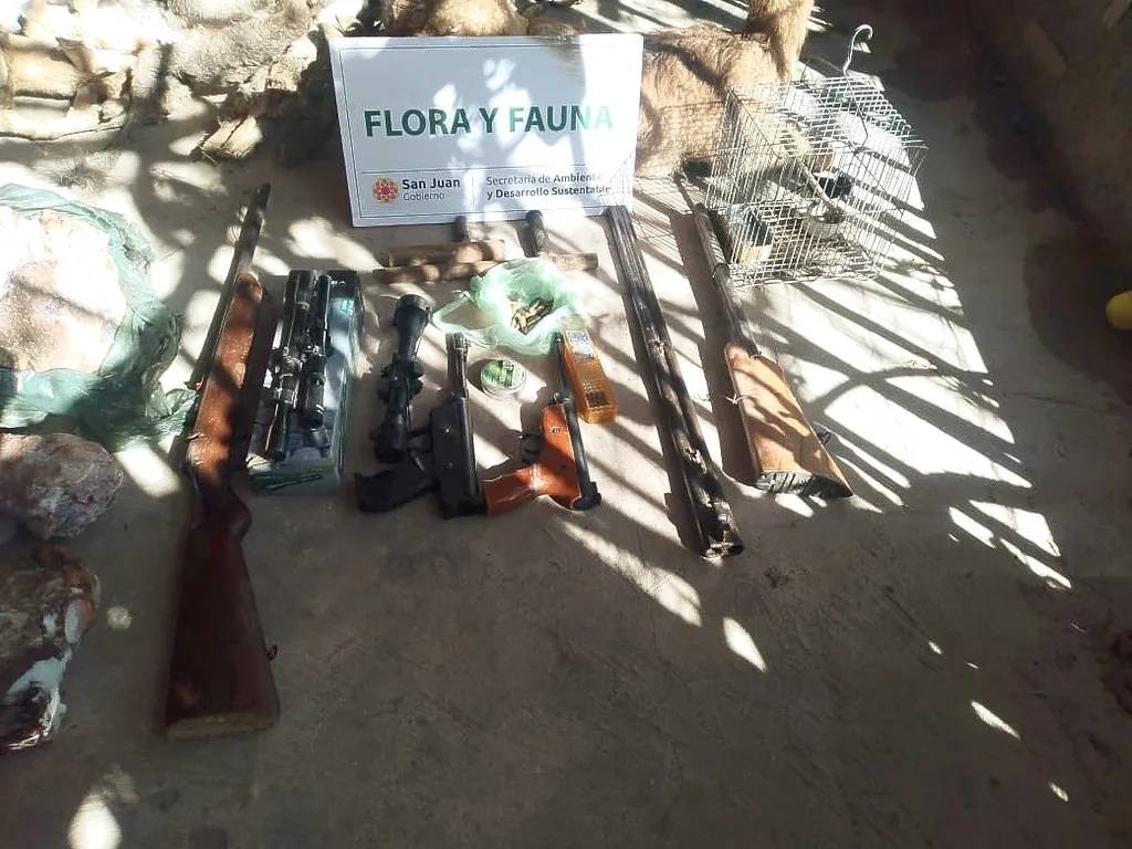 53893264499_a56bd14662_b