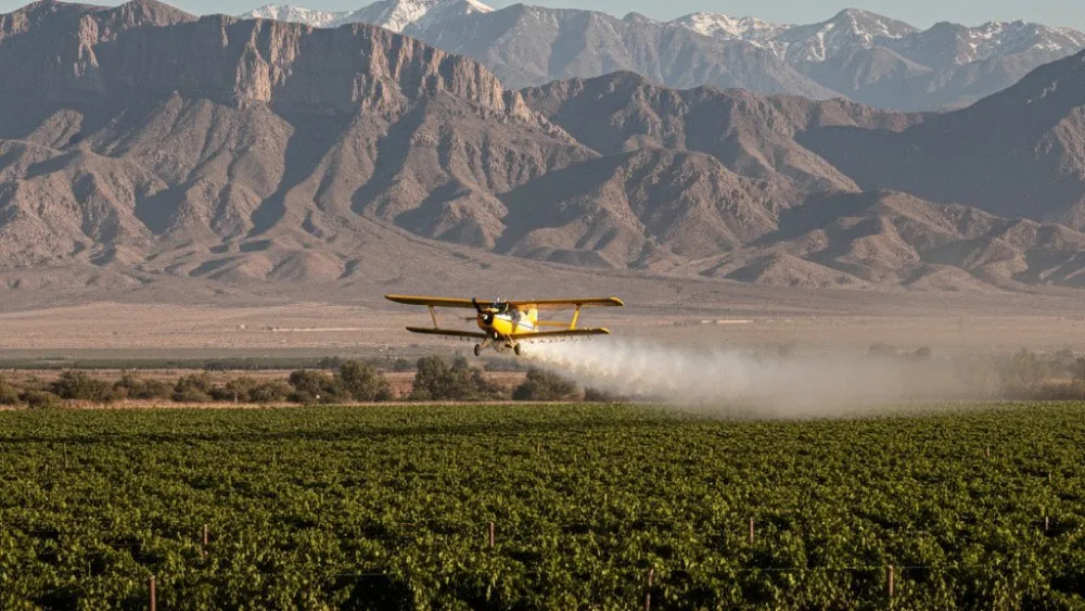 d55b800ffba3cc846feb20a1ddccf5b3_XL