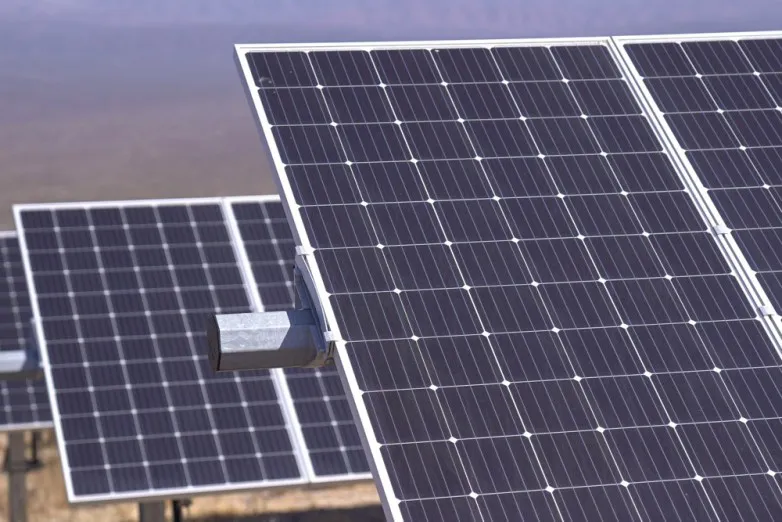 WhatsApp Image 2023-08-07 at 09.03.27