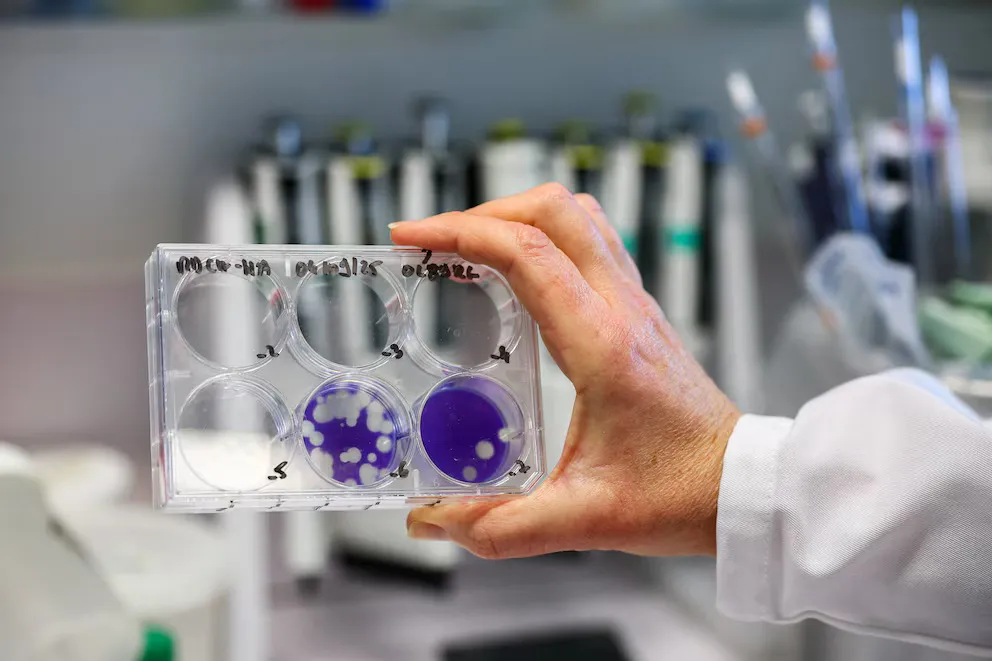 P2L3OJ4TNVAK3LHPFTX23VBCQM