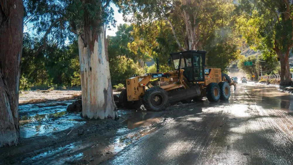 WhatsApp Image 2026-01-28 at 11.05.58