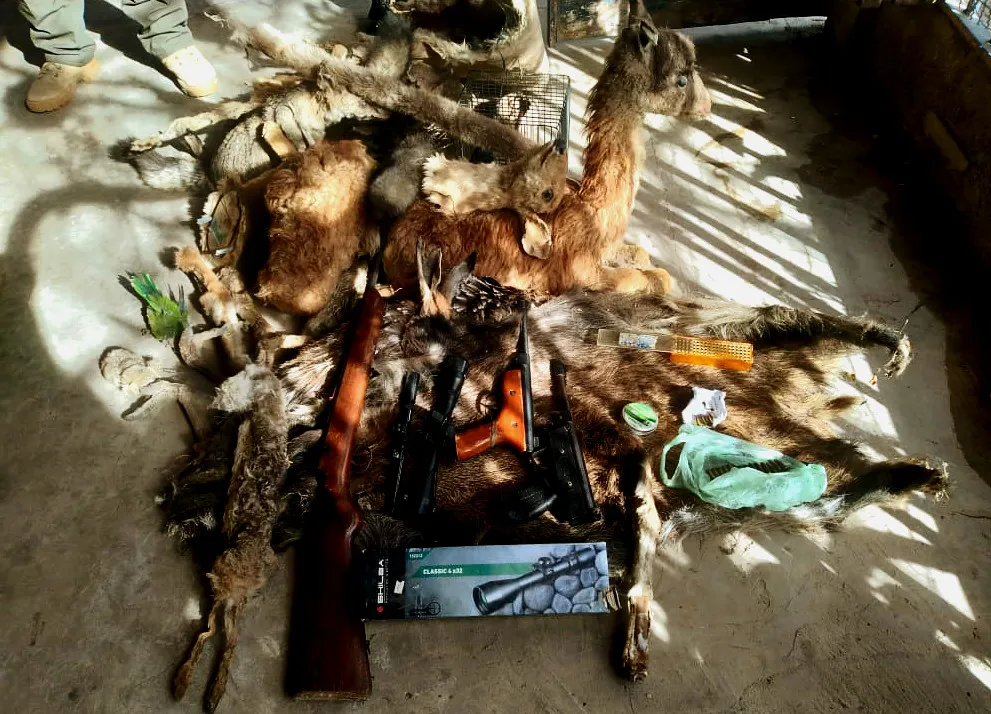 53892013857_8fd30ec895_b