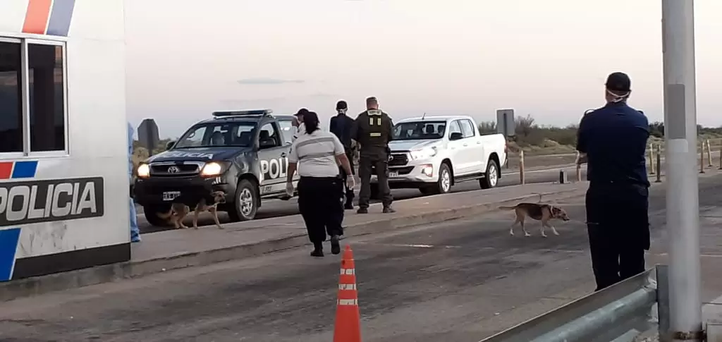 49697420967_906676382d_b