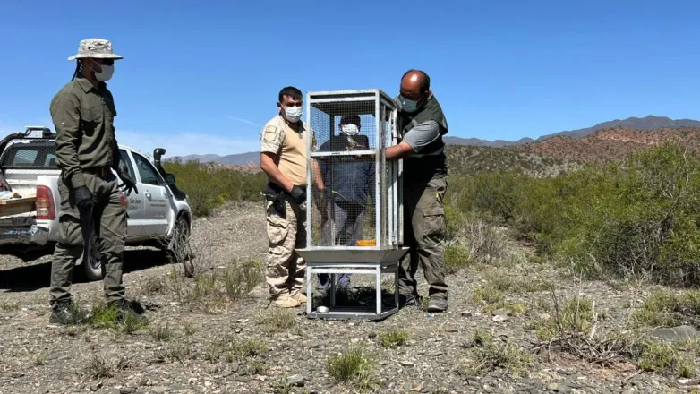 e8f3140871822bb26470c9aeb1de170d_L