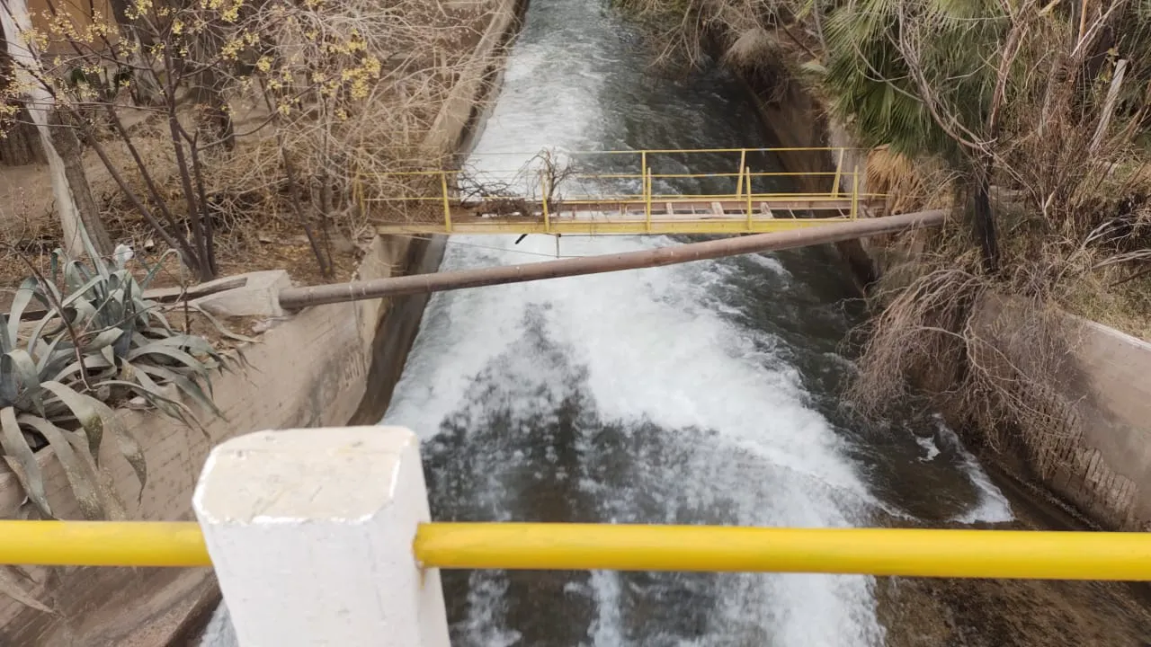 WhatsApp Image 2024-08-29 at 18.16.38