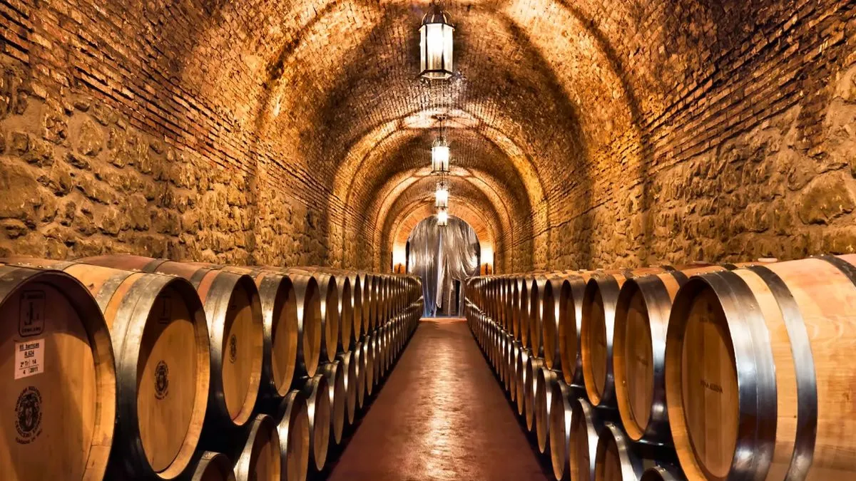 bodegas-argentina