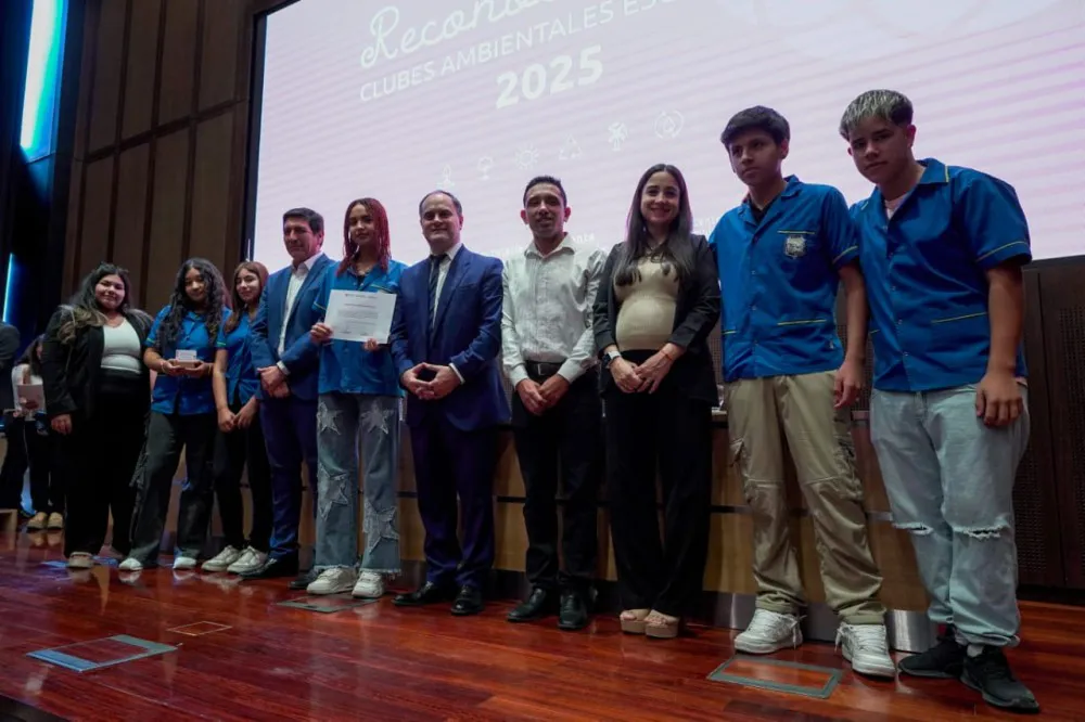 bdbd8264549e9cf6fa0da64f3472bae7_XL