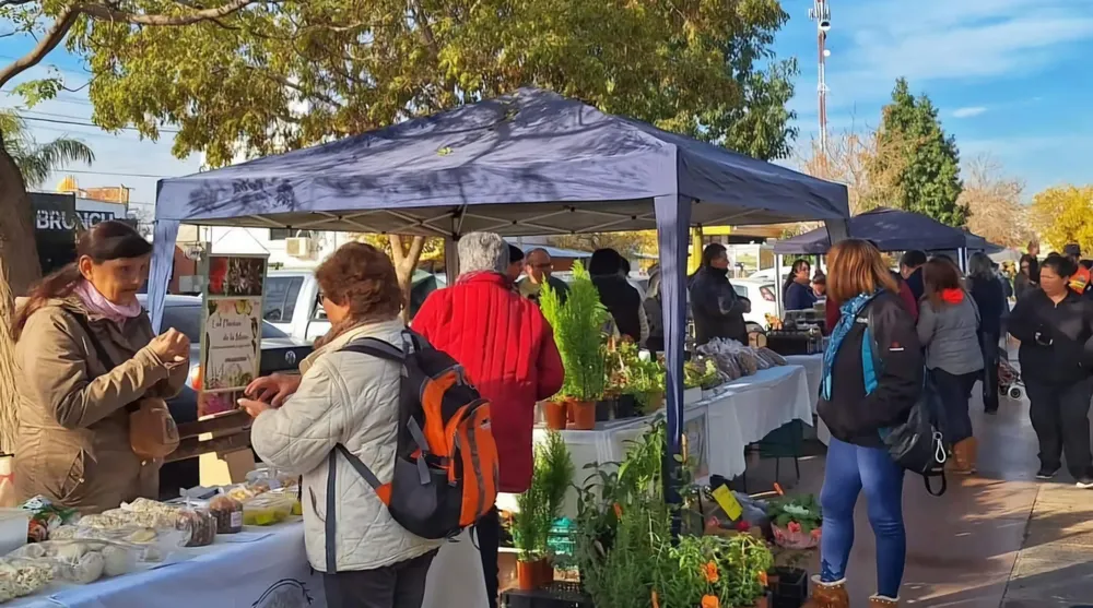 WhatsApp Image 2024-07-11 at 8.52.47 PM