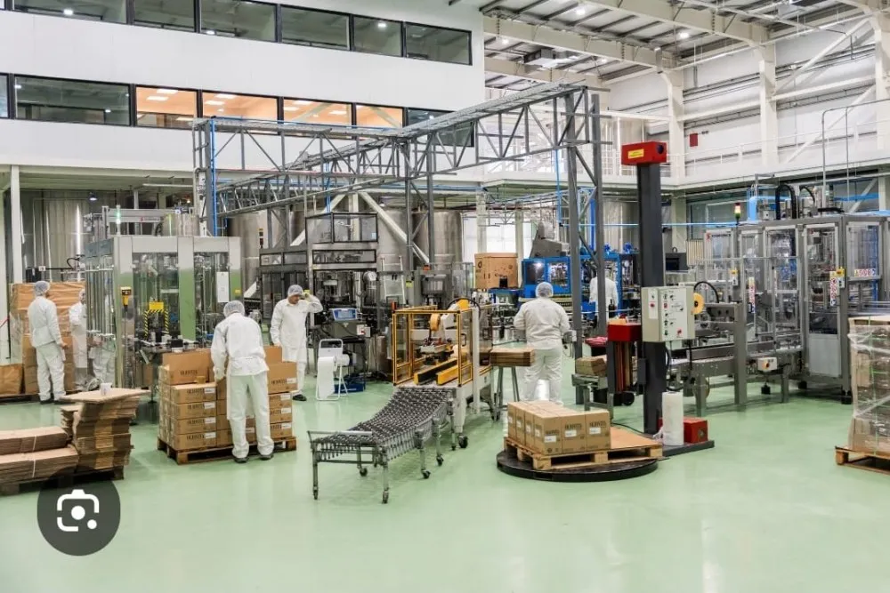 566986b53a19d006f46ca2cdf0ee3de9_XL