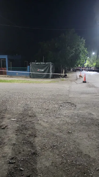 WhatsApp Image 2024-11-12 at 07.19.13