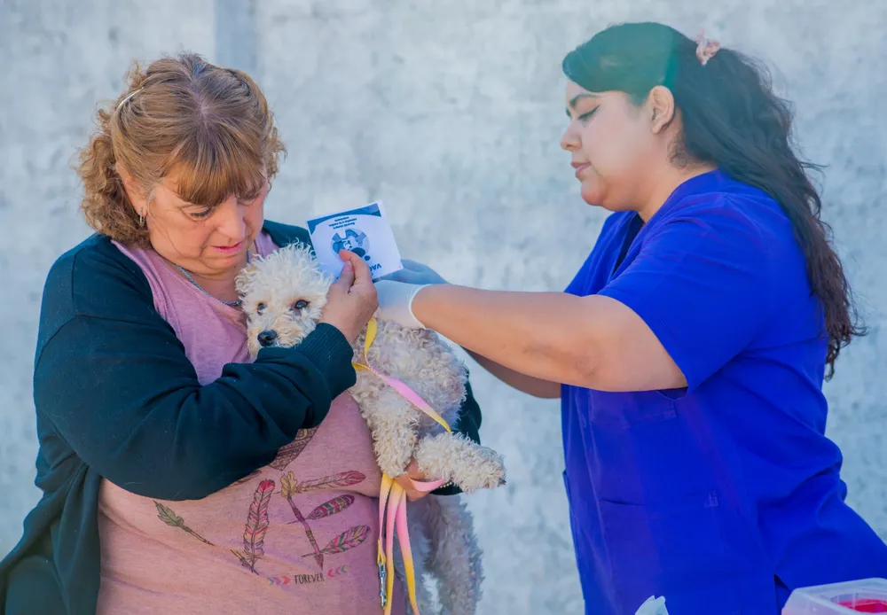 WhatsApp Image 2026-03-30 at 11.30.12