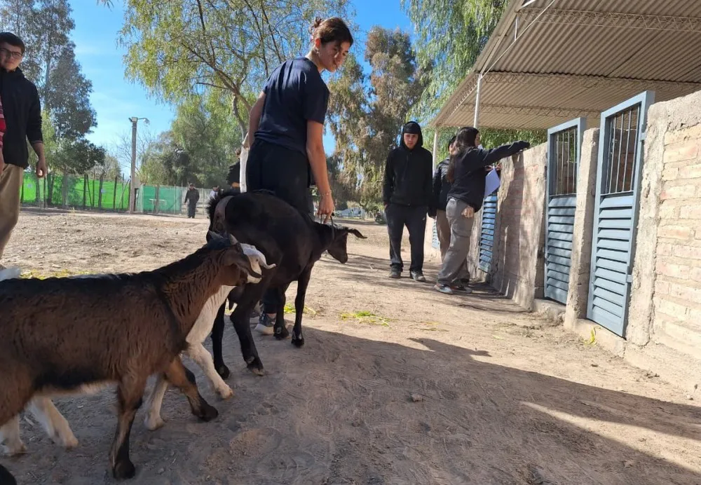 3ae761bf24d5ca27d36c8df0b44afdef_XL