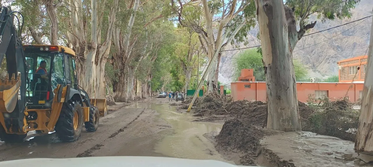 WhatsApp Image 2026-01-26 at 11.21.57