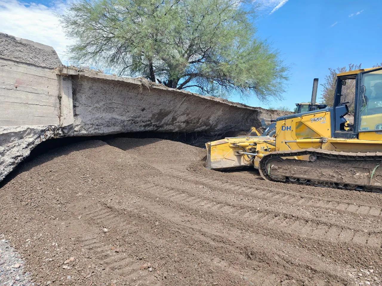 WhatsApp Image 2025-03-12 at 12.49.03