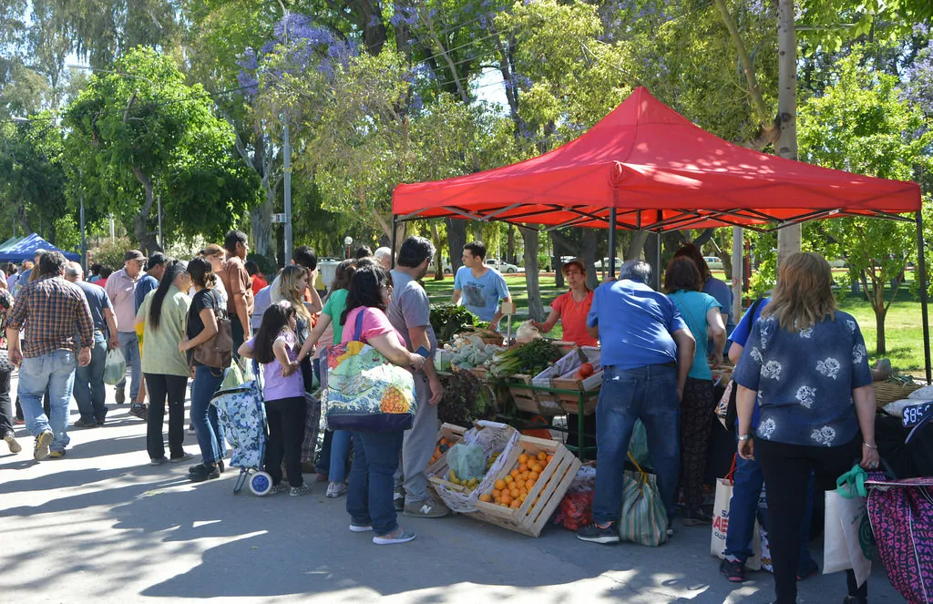 multimedia.normal.ac2c180fe3121035.6665726961206167726f70726f64756374697661315f6e6f726d616c2e6a7067