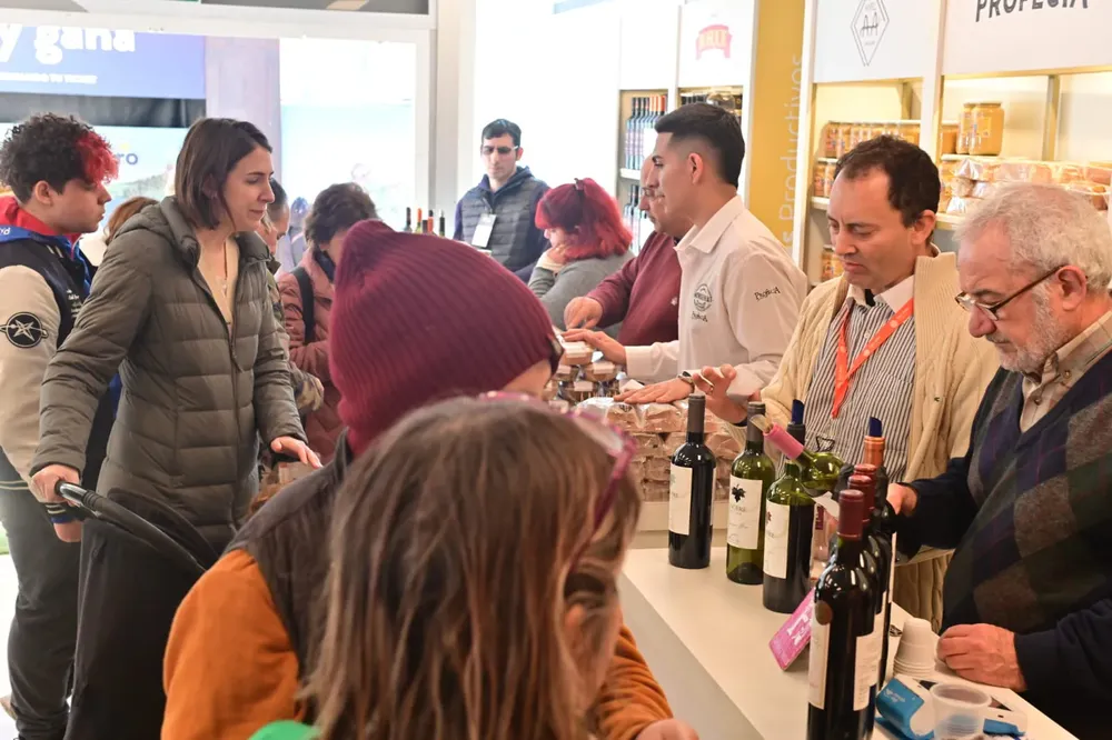 WhatsApp Image 2024-07-19 at 09.04.46