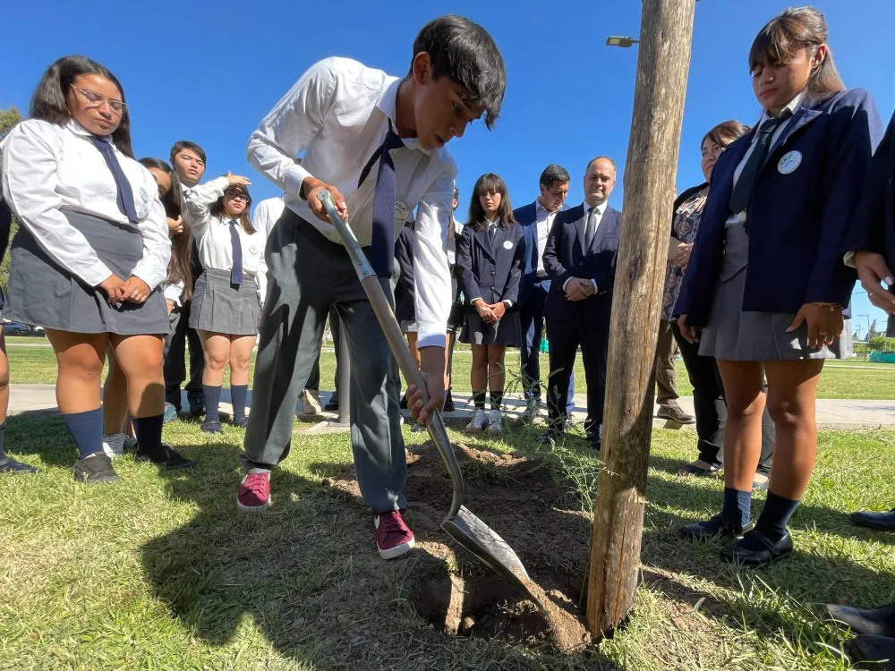 85f0e663b2e7dc404553a56a293d14c7_XL