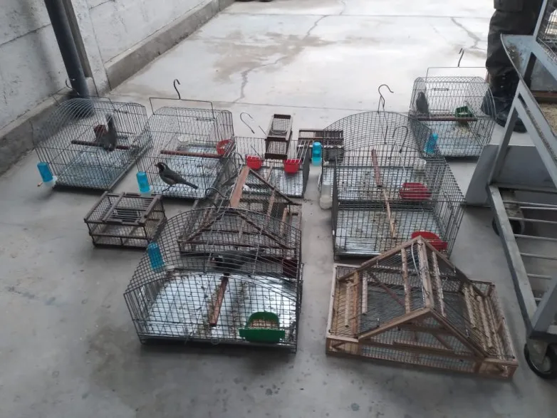 4cf6715f8ff516932b53cbdba0261dc1_L