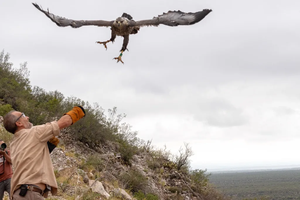 54369903732_64e9089e6c_b