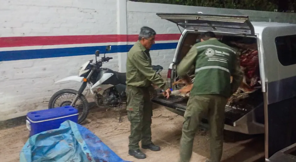 2066b7d4f1f6380f435895d1cb5bb6b5_XL