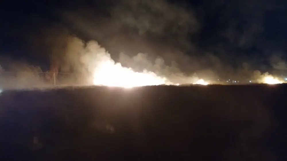 WhatsApp Image 2024-09-19 at 8.58.17 AM