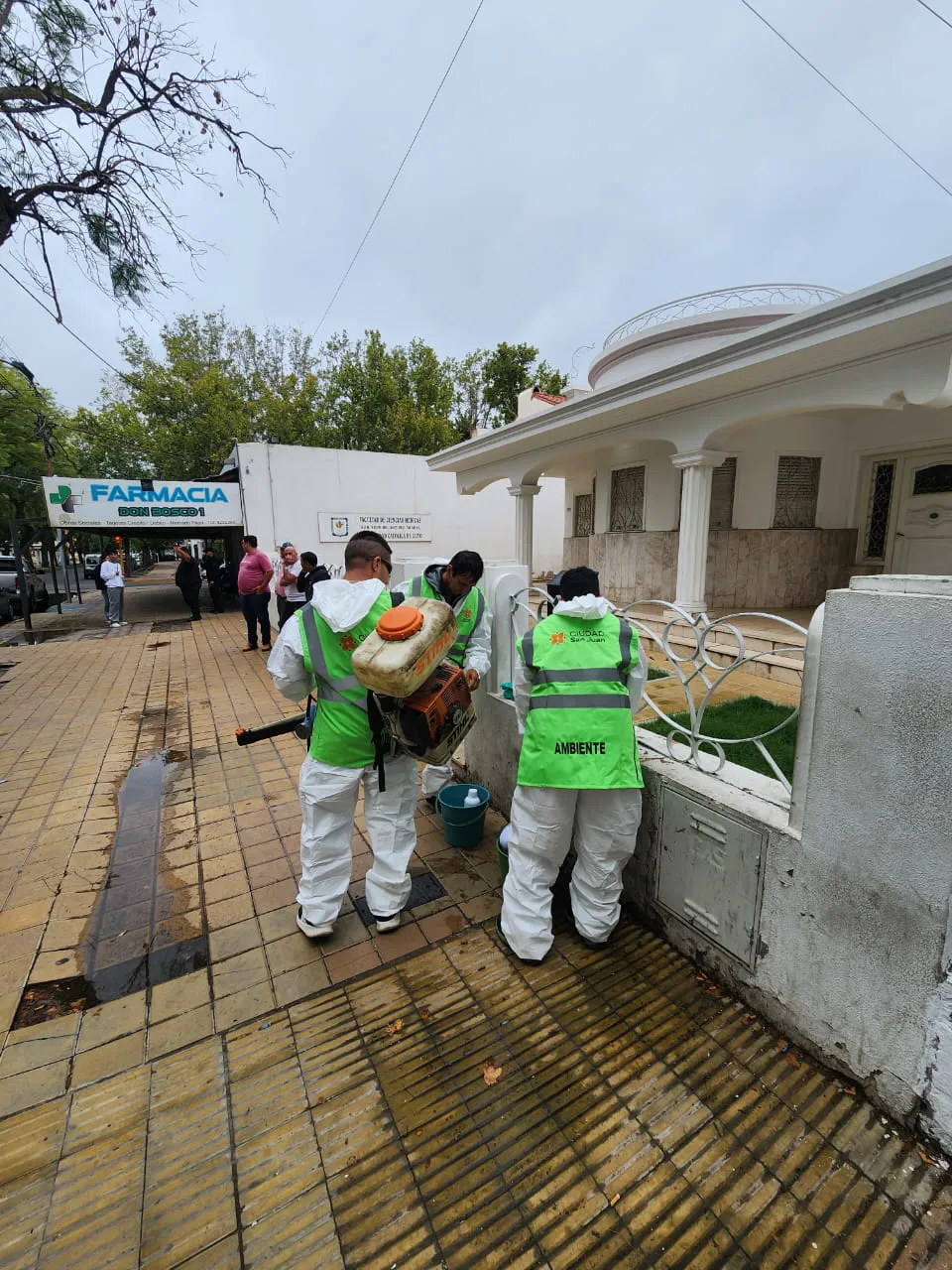 WhatsApp Image 2026-01-08 at 8.19.51 PM