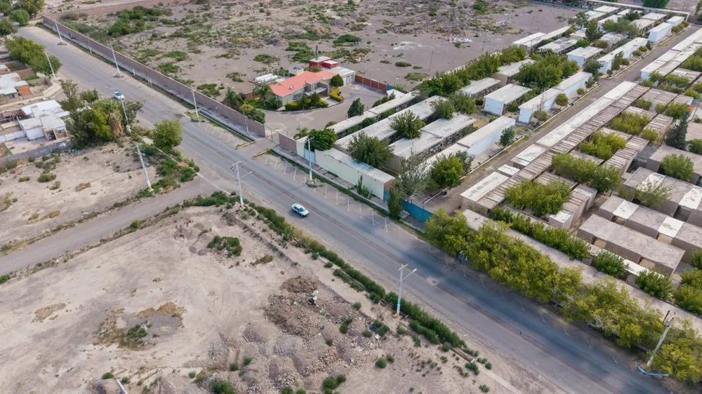 WhatsApp Image 2026-03-16 at 17.46.44