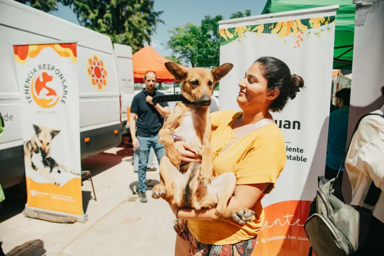 8c6b3a17b2c3809f3e93bef9b1c63e29_L