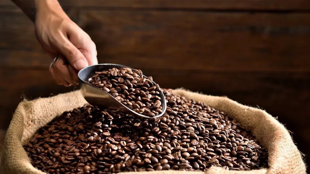 granos_de_cafe-792033_a69513e8-8fb8-4a3b-9890-c66d4fb70f59