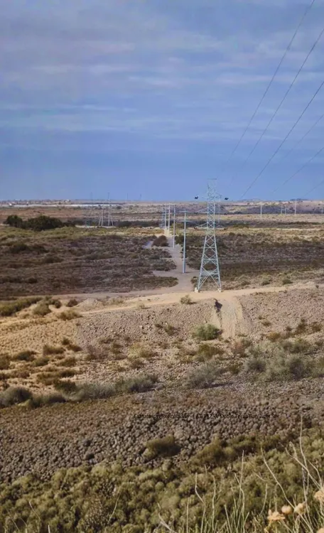 WhatsApp Image 2025-10-23 at 6.14.12 PM