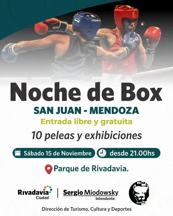 WhatsApp Image 2025-11-12 at 08.51.21