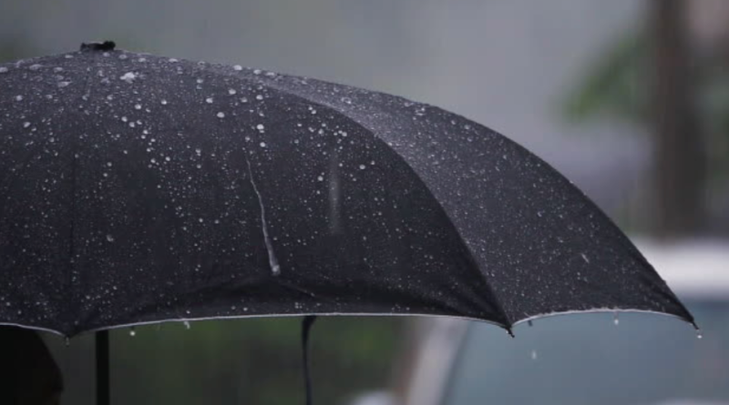 Captura-de-pantalla-2024-08-26-a-las-08.37.13