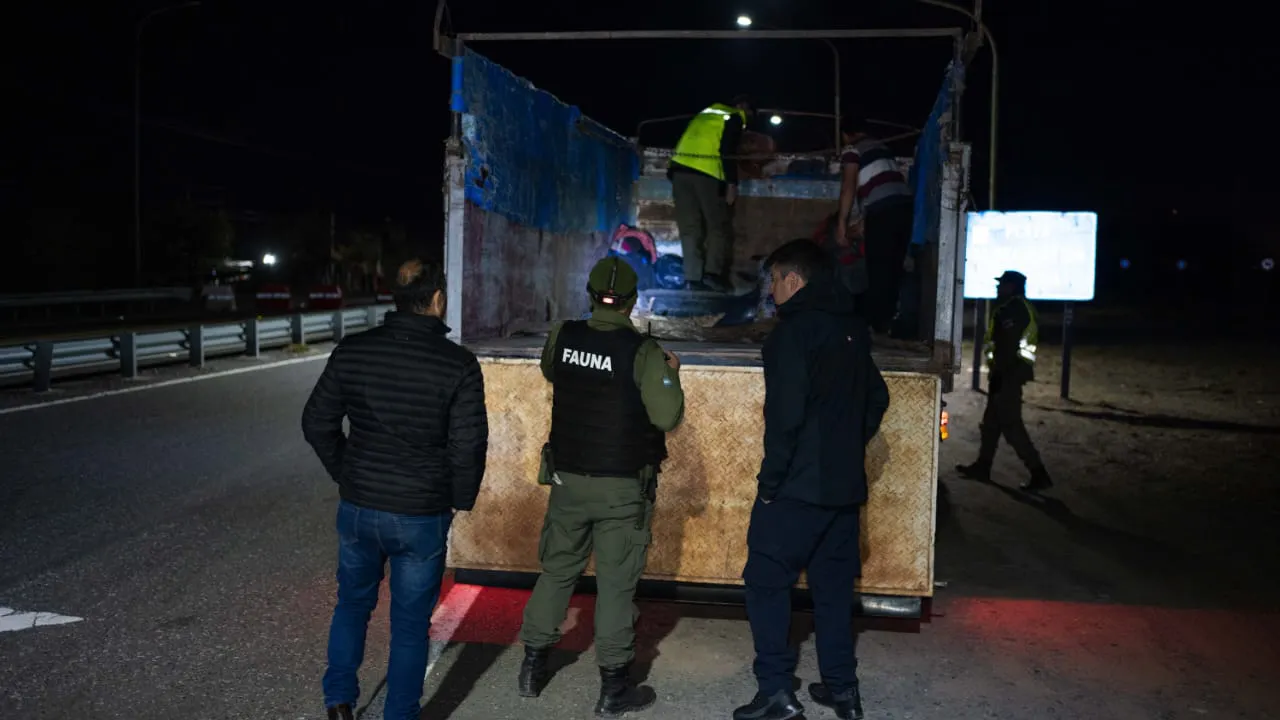 WhatsApp Image 2024-08-12 at 10.14.14 AM