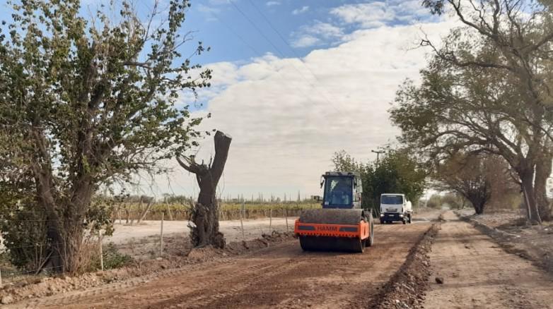 1847755ca6a4b4f3d50a4c7b9c082188_L