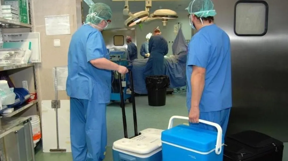 082e9f9f5a89b4100a4d2ee20a119356_XL