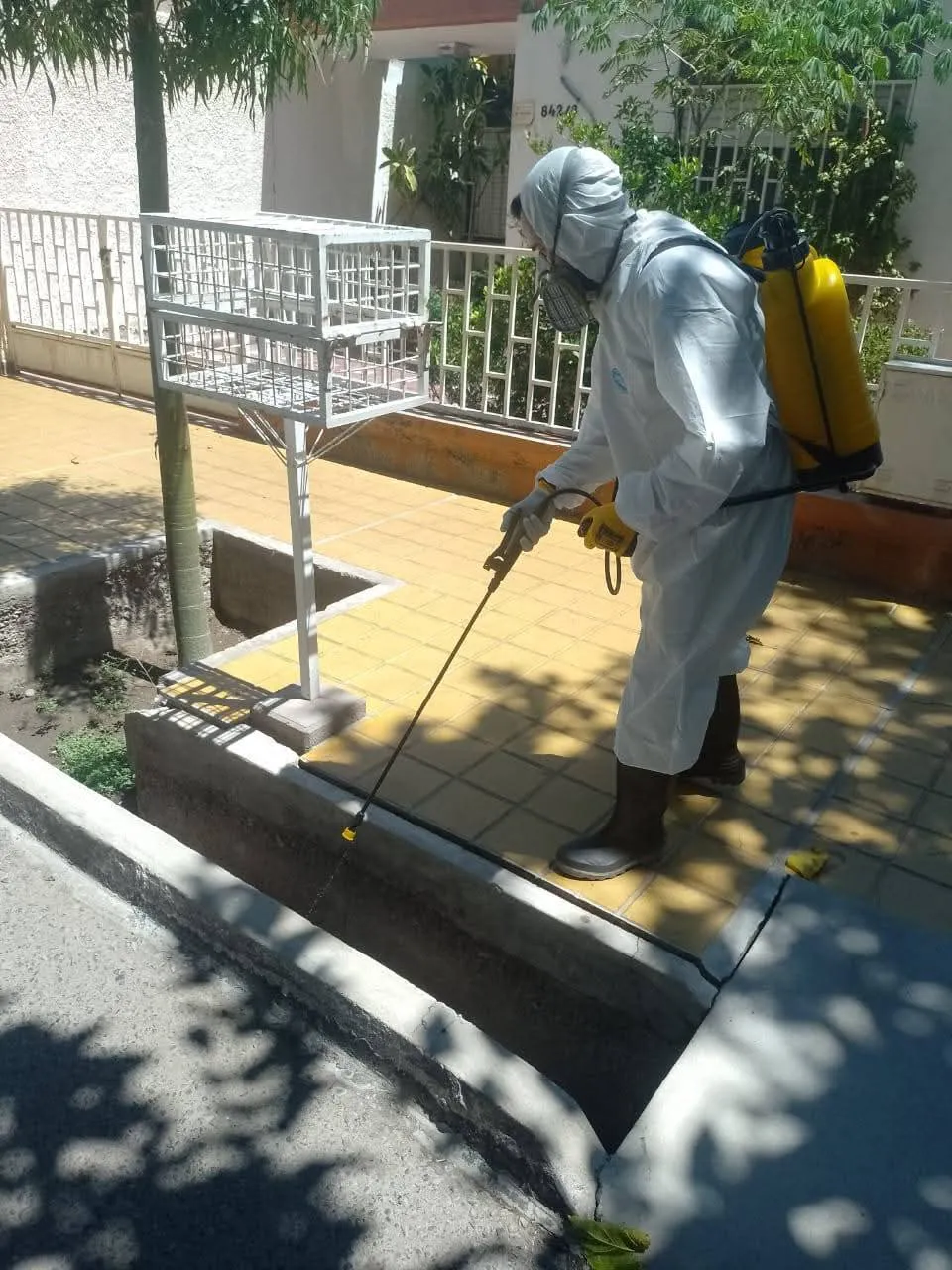 WhatsApp Image 2025-01-08 at 08.23.23