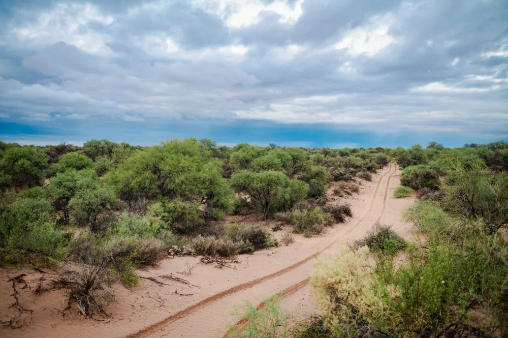 8f8f079254f9c27bf95fb655c43ed1f8_XL