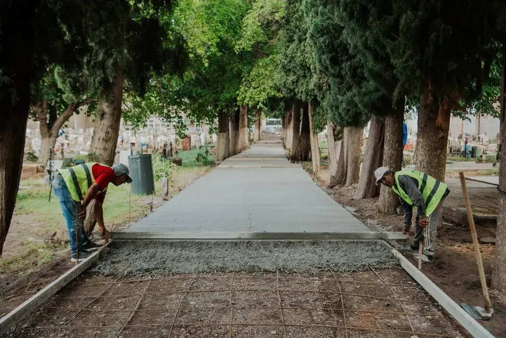 WhatsApp Image 2025-03-11 at 09.29.08