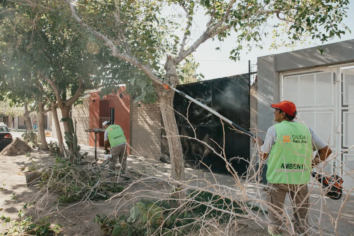 WhatsApp Image 2025-03-19 at 7.56.16 PM