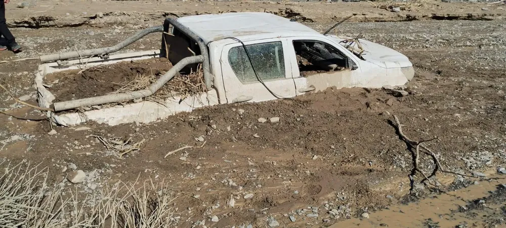 WhatsApp Image 2025-01-17 at 12.33.31