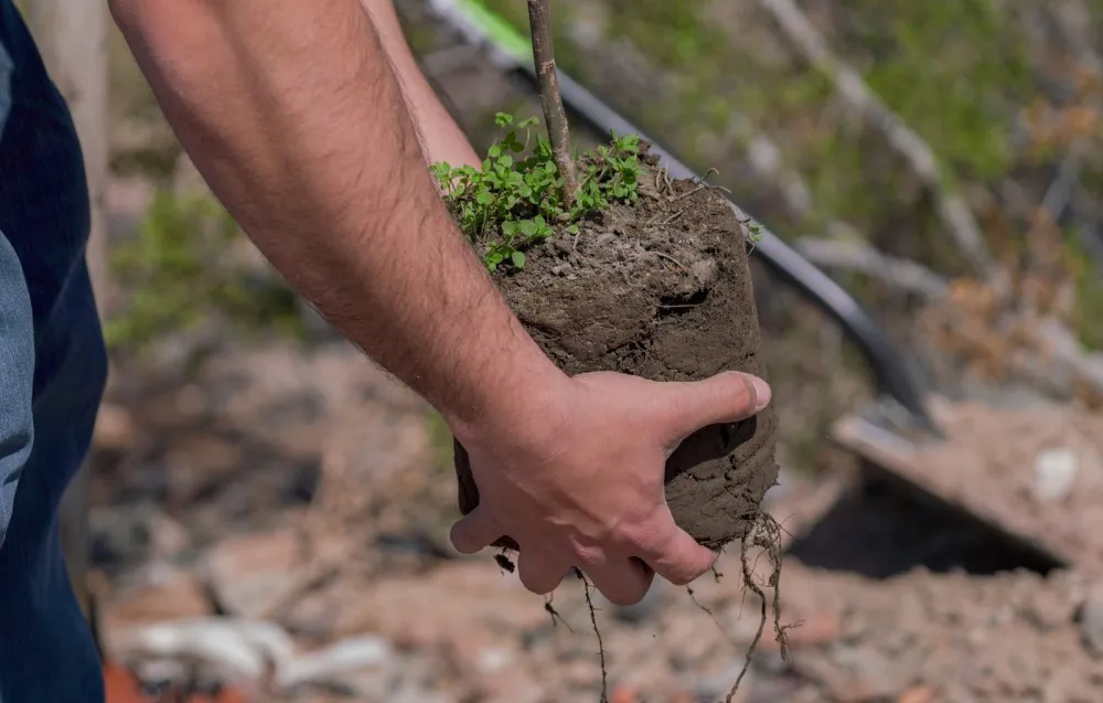 f0e0036fa13aba76be856bf46eeb841a_XL