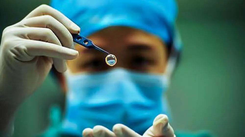 WhatsApp Image 2024-11-19 at 12.57.34