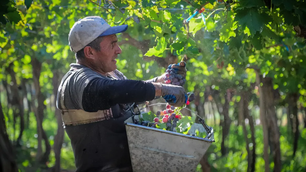 9311412b7253ef91f391b10f49e836b7_XL