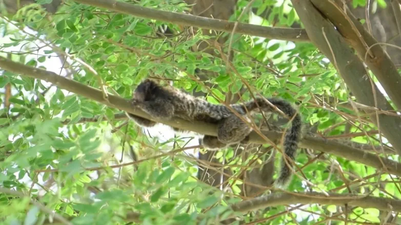 f5ec60cbdf11daff07f2cede1f303d85_L